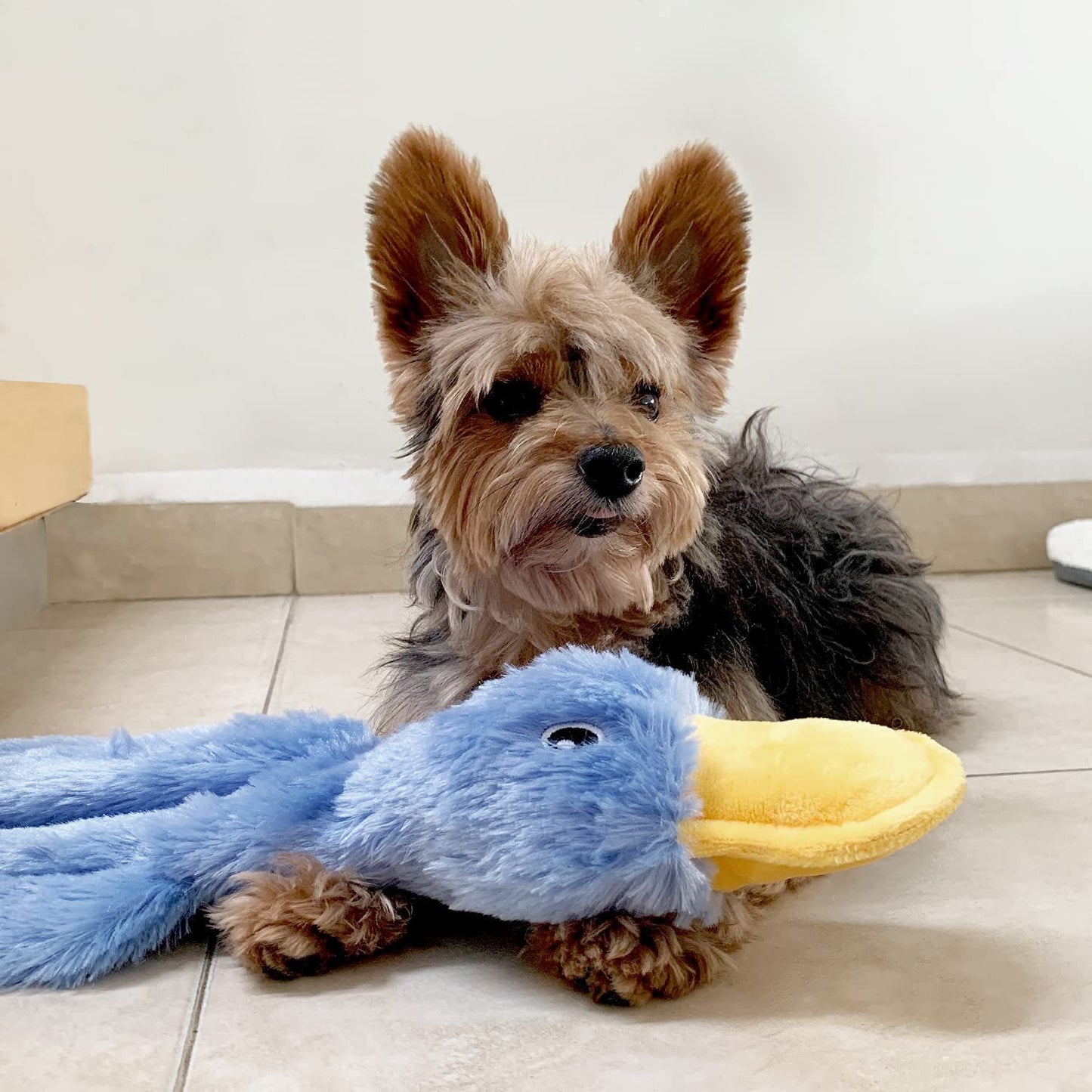 Cute Duck Plush Sound Dog Toy - Chewing & Play