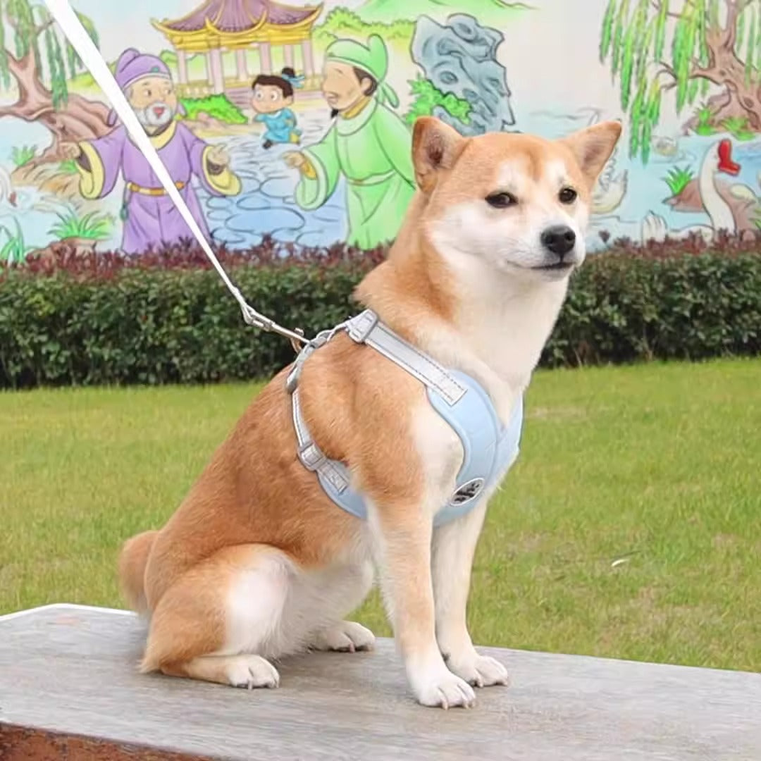 All-Day Comfort Dog Harness with Reflective Details - Complete with Leash