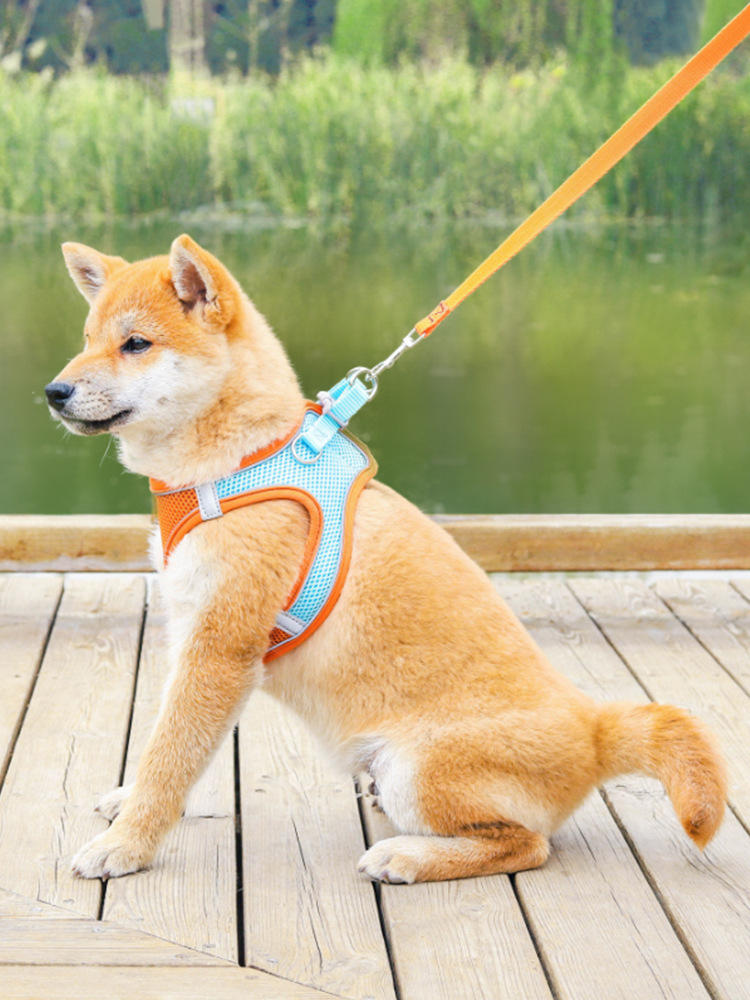 Breathable Vest Harness with Reflective Stitching and Walking Chain Lead