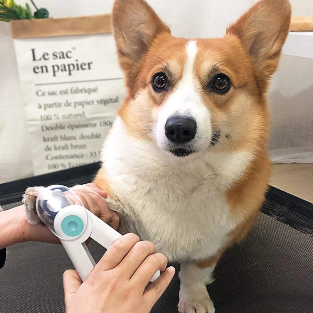 LED Light Dog Cat Nail Clippers - Professional Pet Nail Trimmer with File