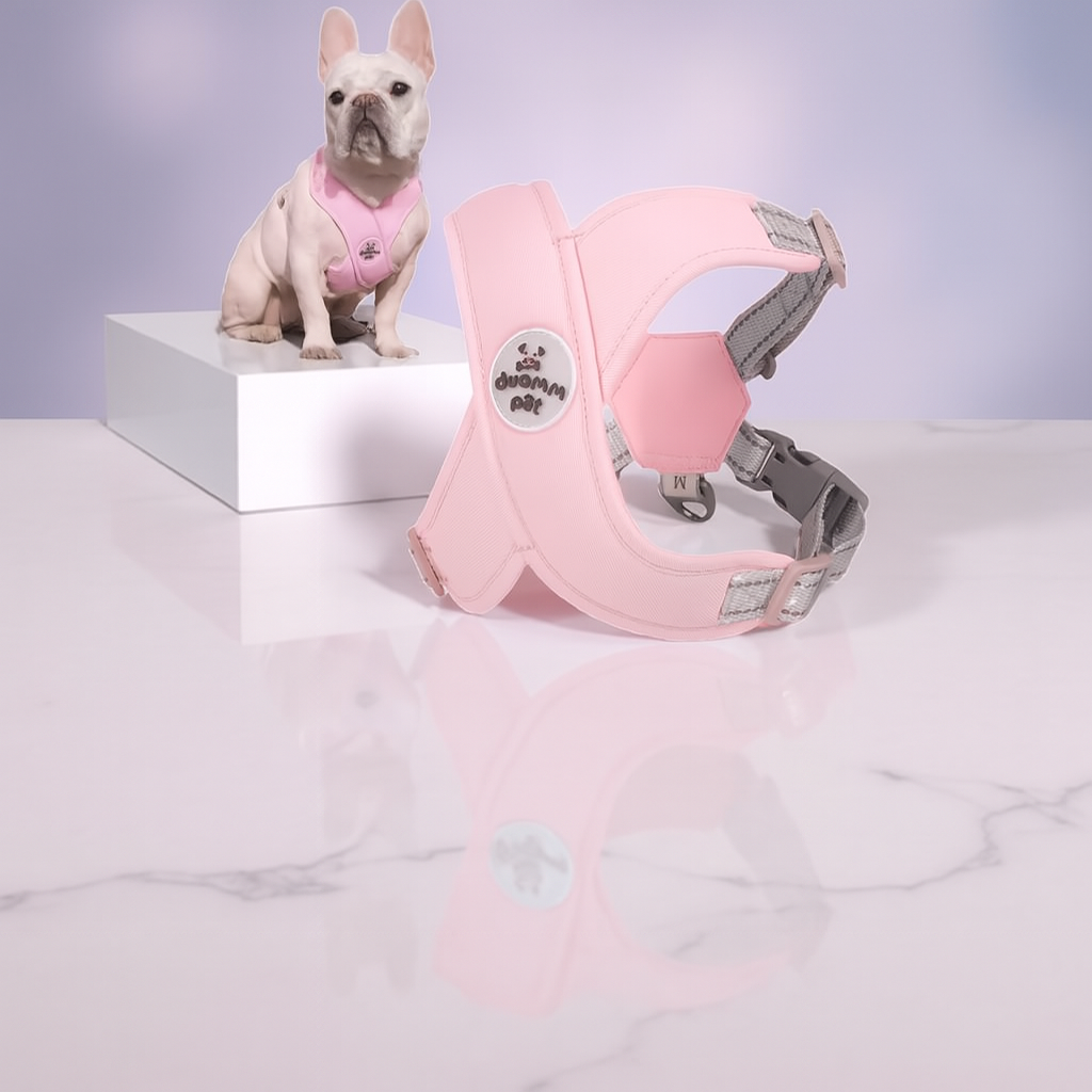 All-Day Comfort Dog Harness with Reflective Details - Complete with Leash