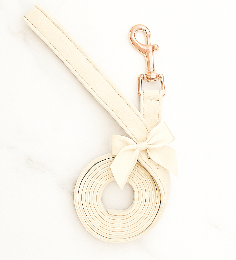 Harness & Leash