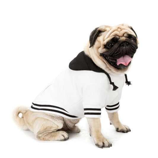 Color Block Dog Sweater - Stylish Pet Knit Clothing