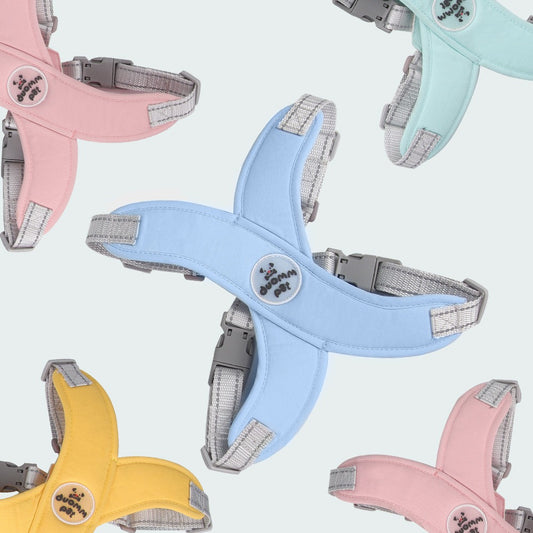 All-Day Comfort Dog Harness with Reflective Details - Complete with Leash